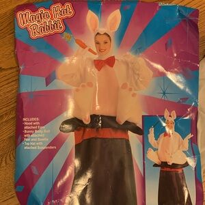 Magic Hat Rabbit Costume
